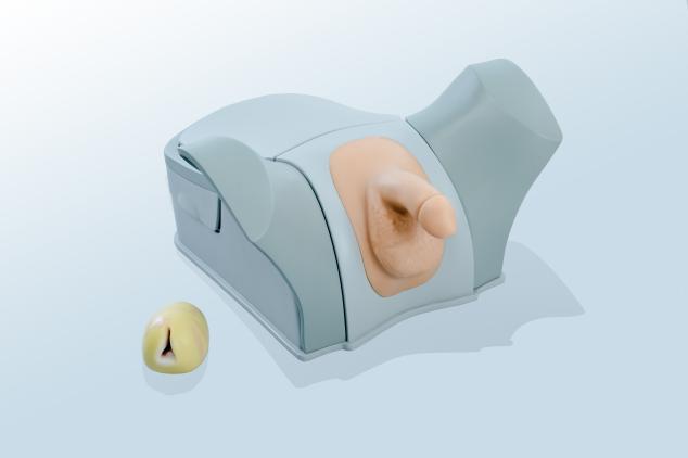 前列腺電切（生物仿真材料）模擬訓練系統