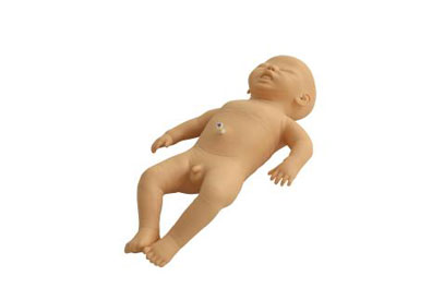 新生兒護理模型（男/女）