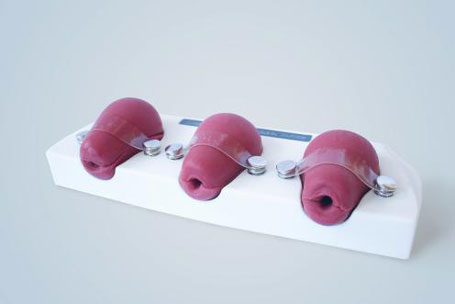 人工流產模擬子宮